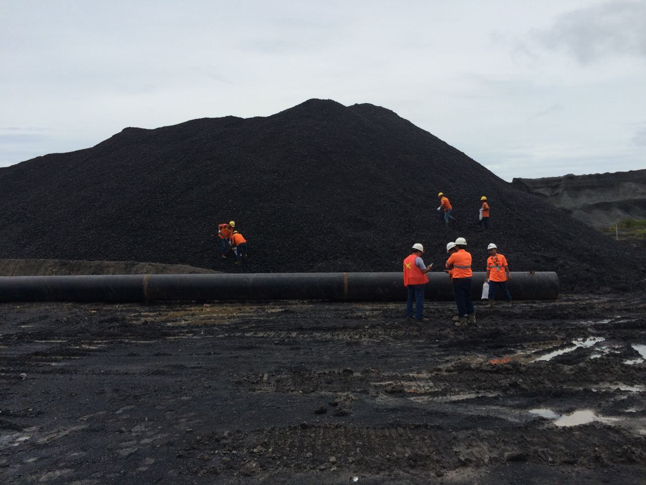 Charcoal Factory France Aj Alimentaire